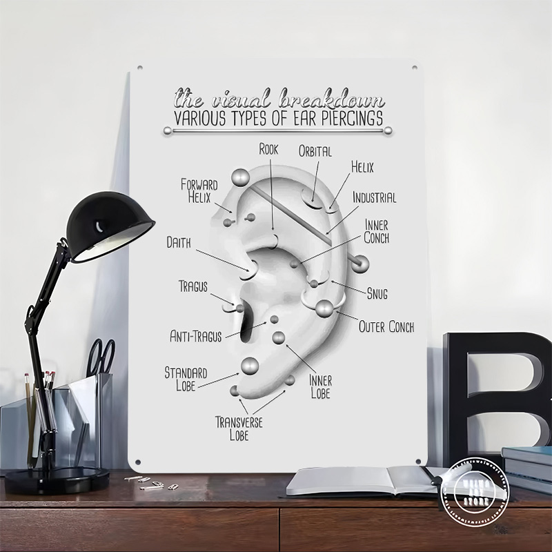 Ear Piercing Chart Metal Poste - Desk Setup Poster recension och pris