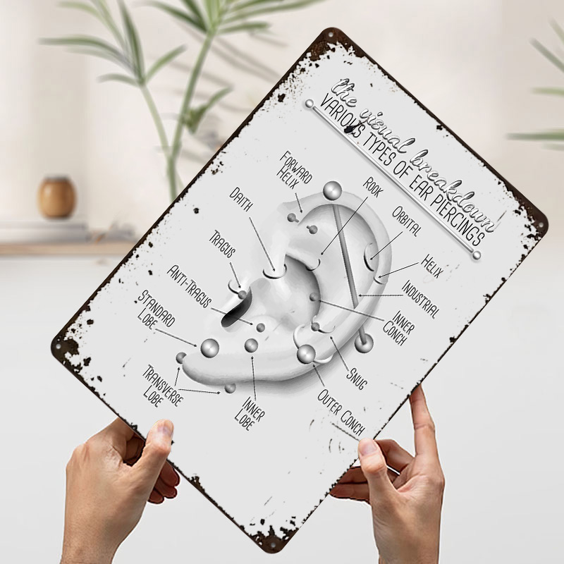 Ear Piercing Chart Metal Poste - Desk Setup Poster recension och pris