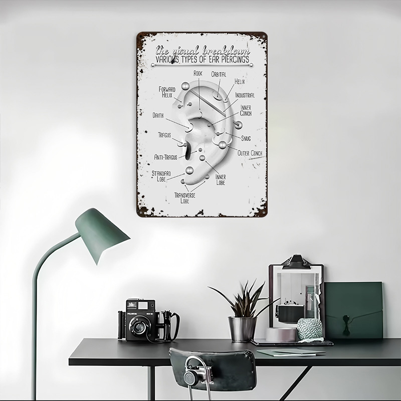 Ear Piercing Chart Metal Poste - Desk Setup Poster recension och pris